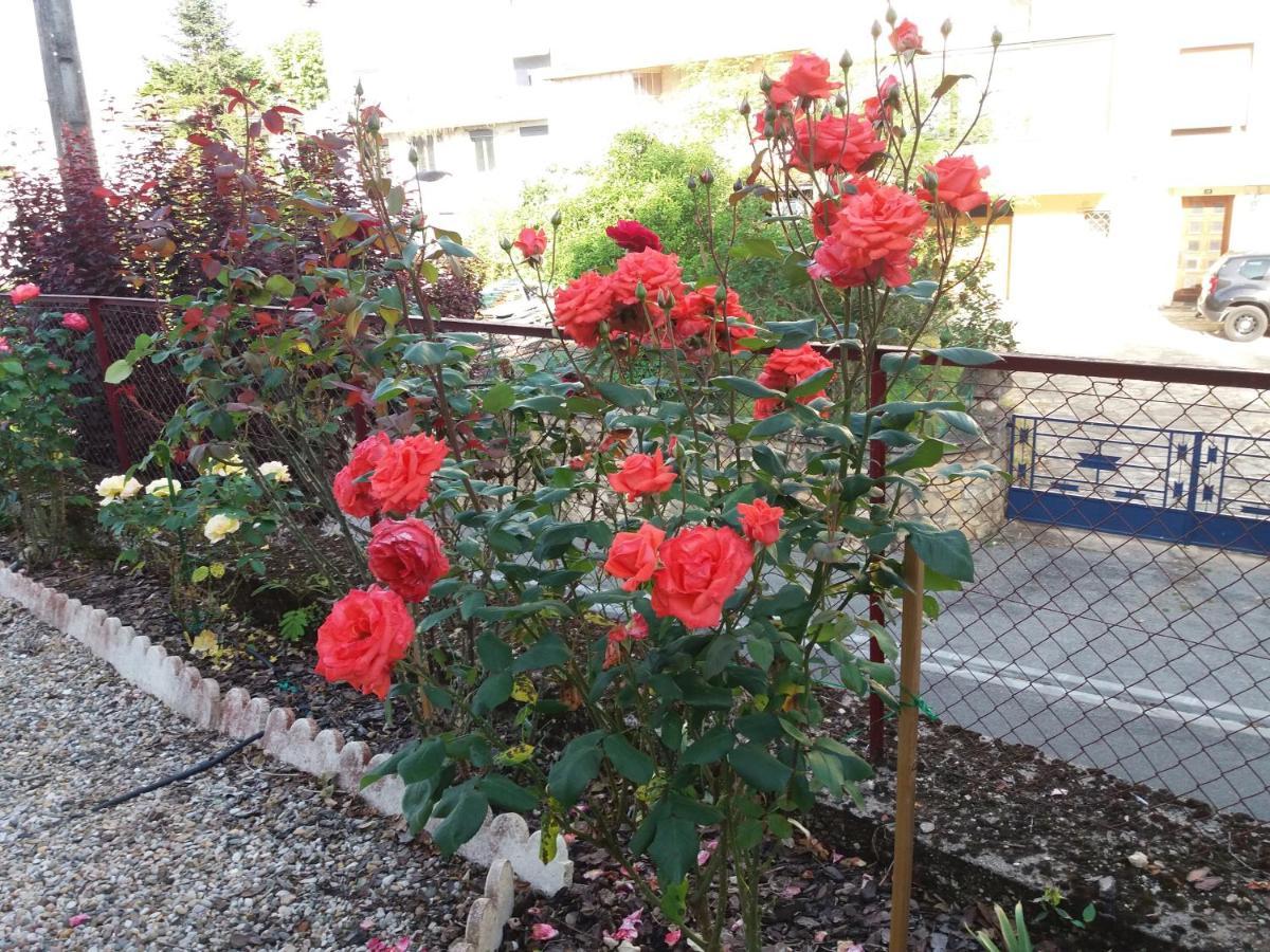 Bed And Breakfast Les Roses Multicolores Du 47 Fumel Εξωτερικό φωτογραφία
