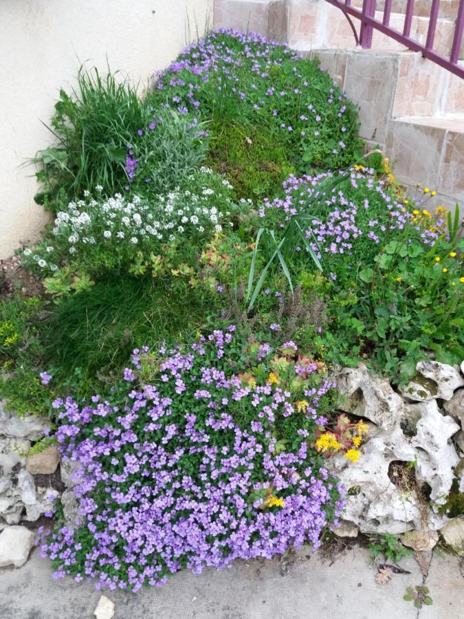 Bed And Breakfast Les Roses Multicolores Du 47 Fumel Εξωτερικό φωτογραφία